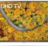 Обзор телевизора LG 65UP75006LF