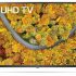 Обзор телевизора LG 55UP75006LF