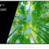 Обзор телевизора Philips 50PUS8057/60 (2022)