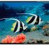 Обзор телевизора LG 55NANO756PA